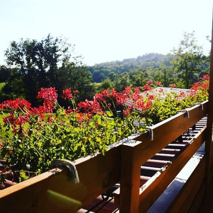 Ca' Del Cuco Bed & Breakfast Barzana Bagian luar foto